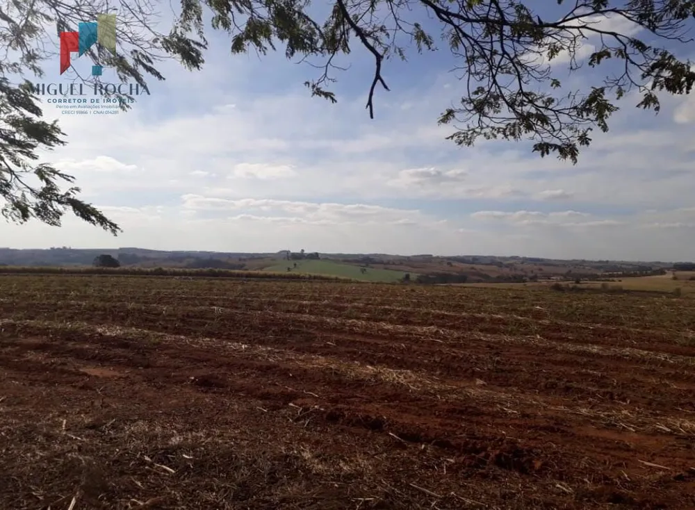 Fazenda, 197 hectares - Foto 4