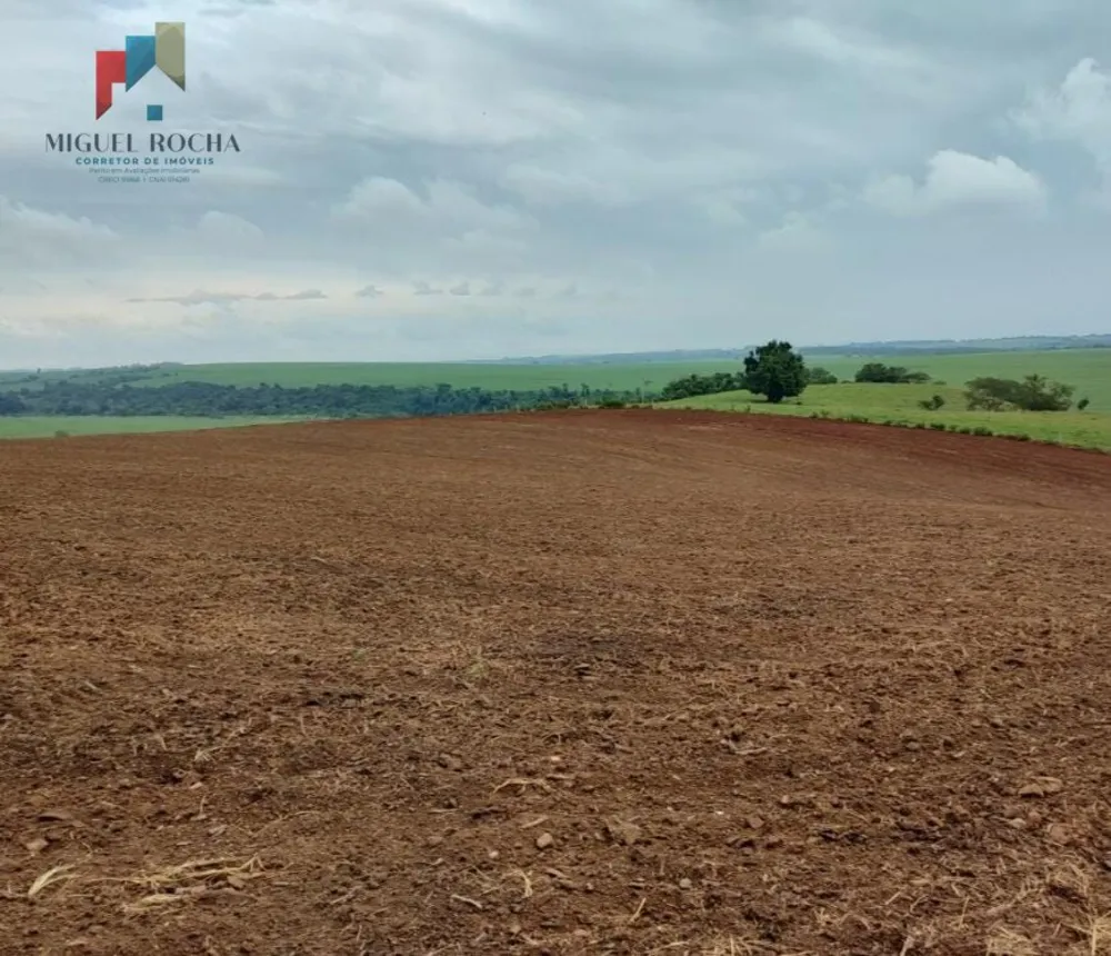 Fazenda, 197 hectares - Foto 7