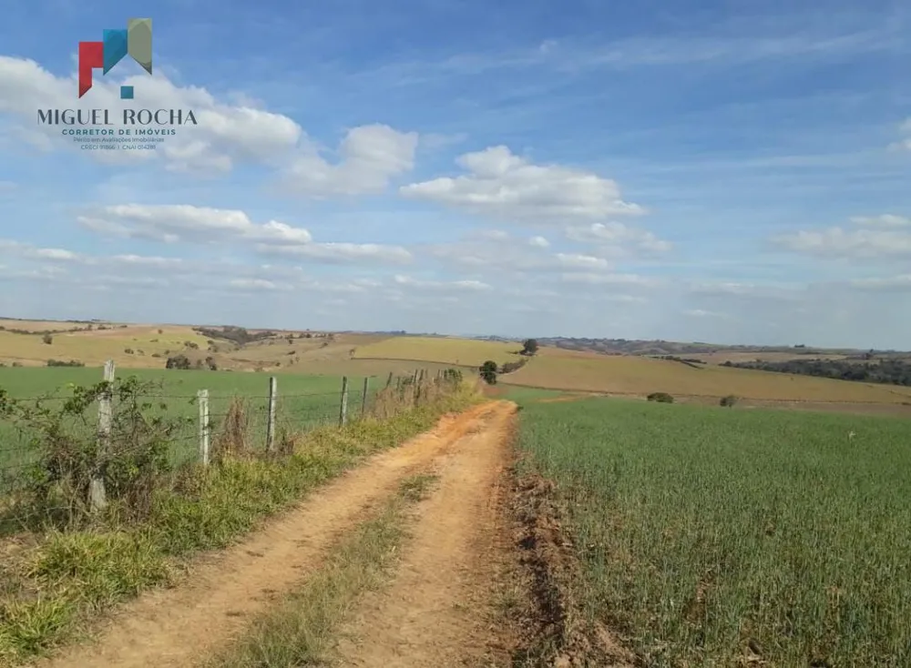 Fazenda, 197 hectares - Foto 2