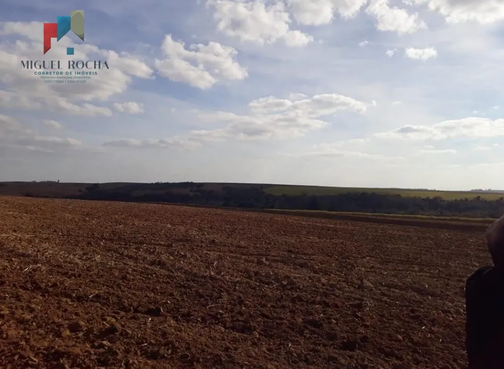 Fazenda, 197 hectares - Foto 6