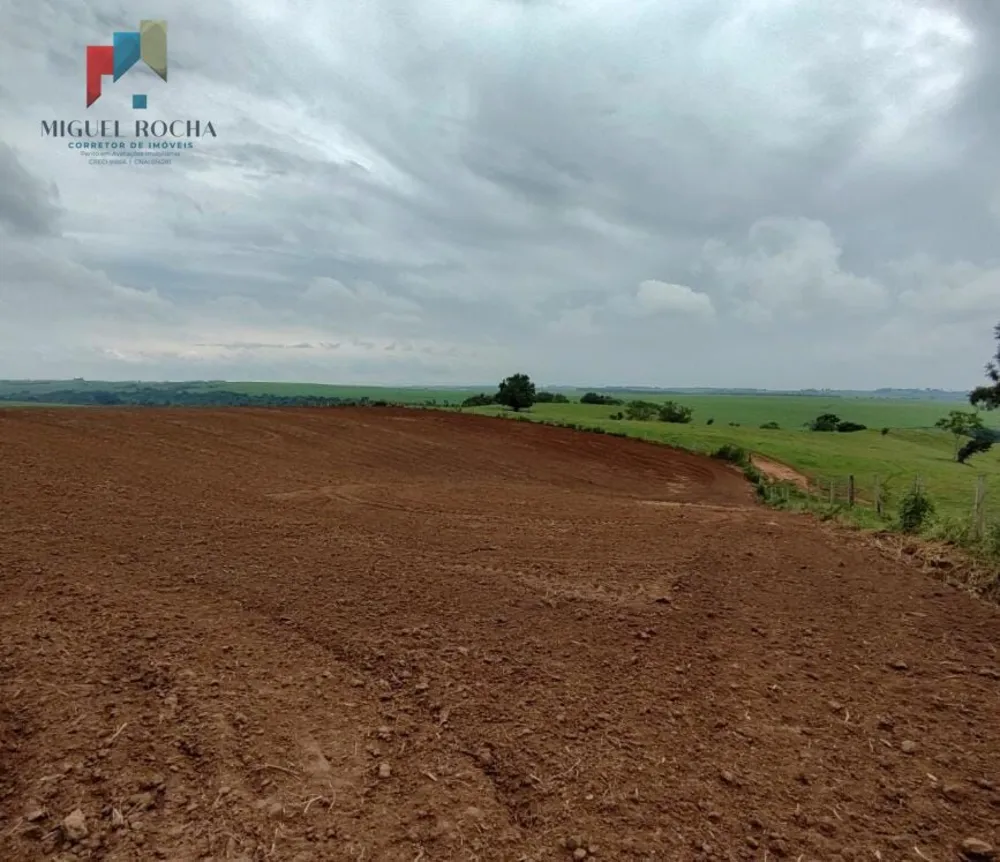 Fazenda, 197 hectares - Foto 3