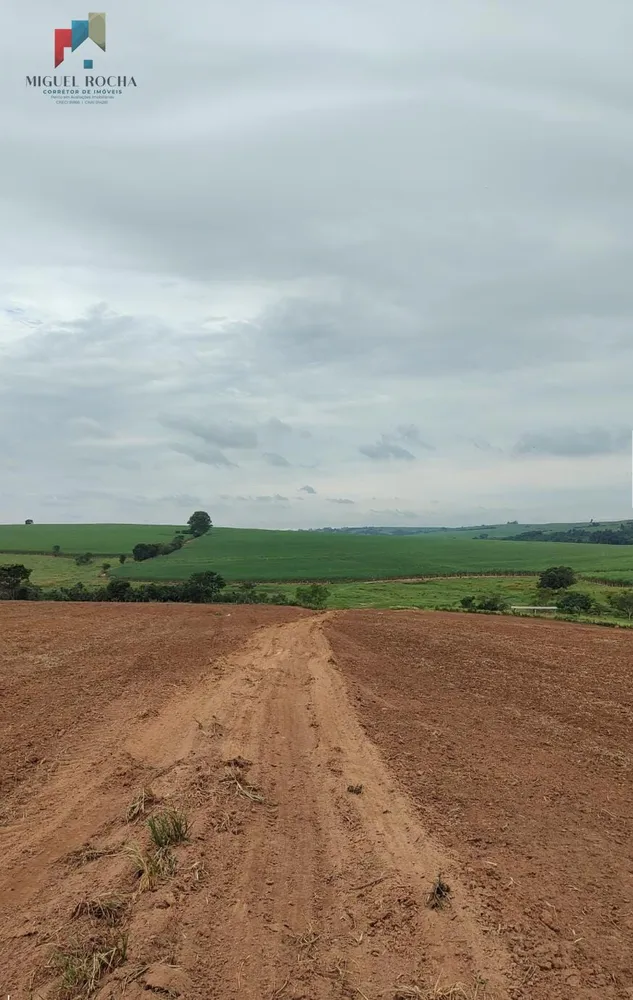 Fazenda, 197 hectares - Foto 8
