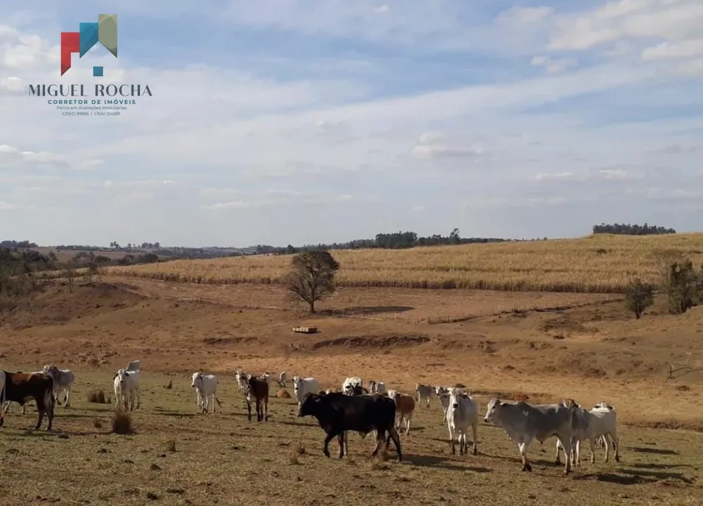 Fazenda, 197 hectares - Foto 1