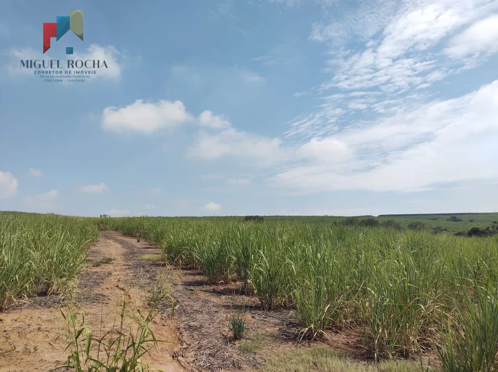 Terreno, 48 hectares - Foto 3