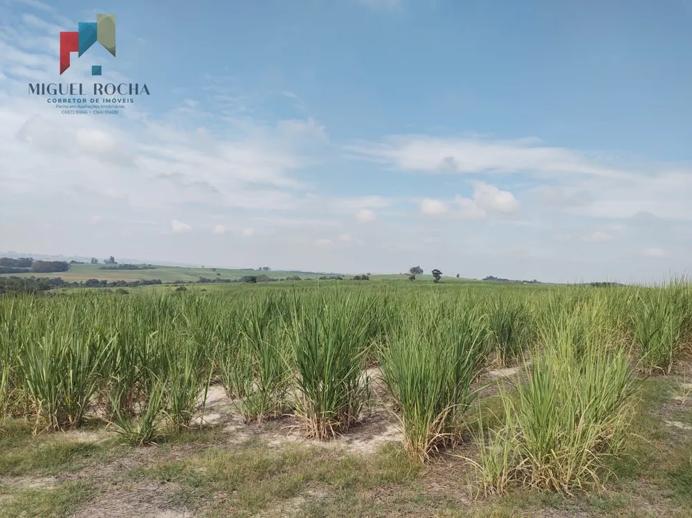 Terreno, 48 hectares - Foto 4