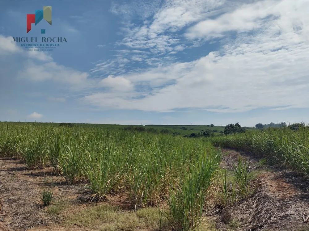 Terreno, 48 hectares - Foto 6