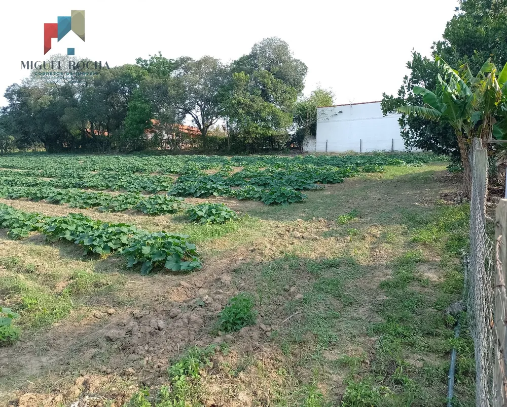 Terreno, 4200 m² - Foto 2
