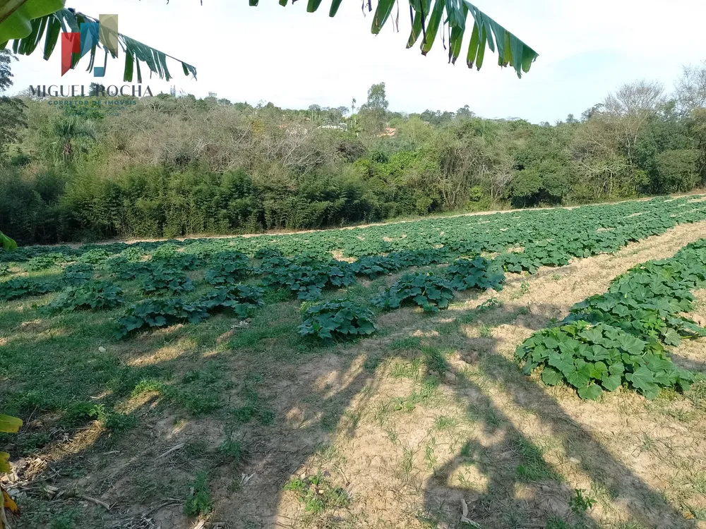 Terreno, 4200 m² - Foto 3