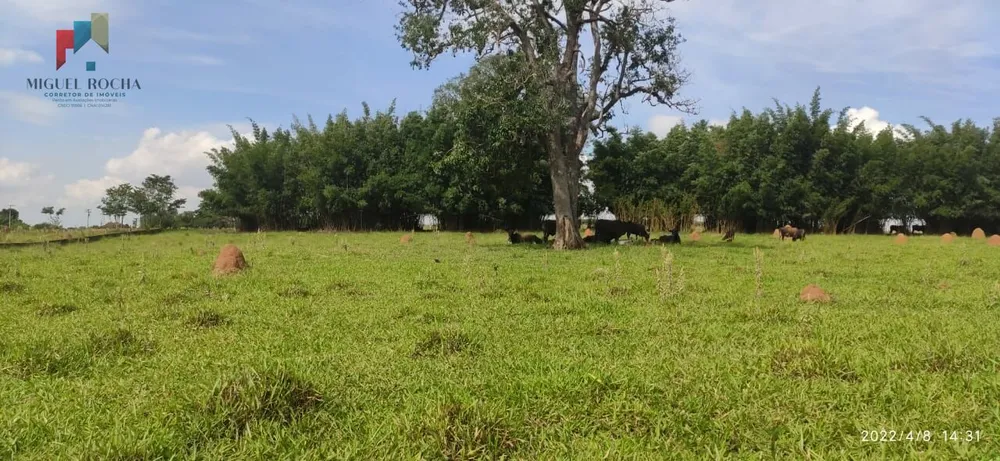 Chácara, 1 quarto, 34 hectares - Foto 2