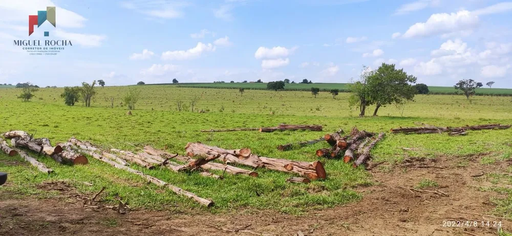 Chácara, 1 quarto, 34 hectares - Foto 3