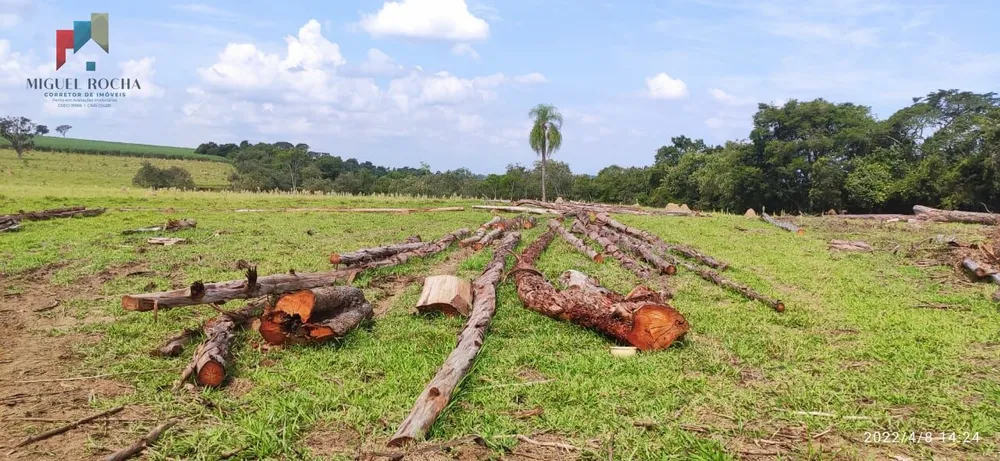 Chácara, 1 quarto, 34 hectares - Foto 4