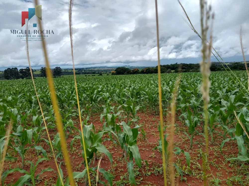 Sítio, 1 quarto, 48 hectares - Foto 4