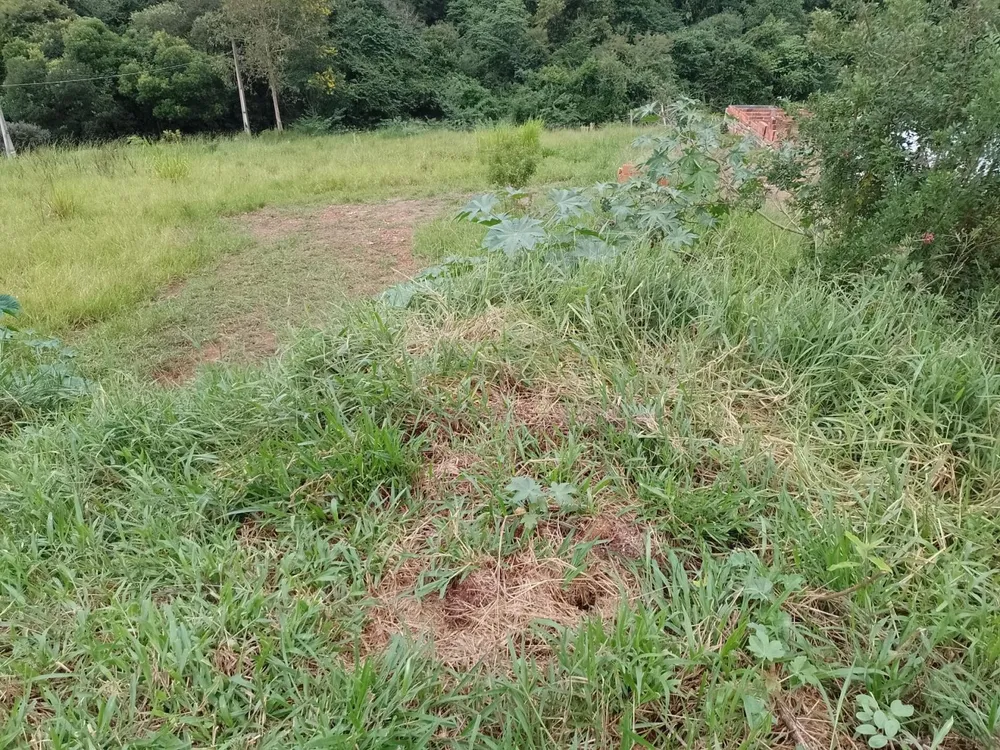 Terreno, 7000 m² - Foto 3