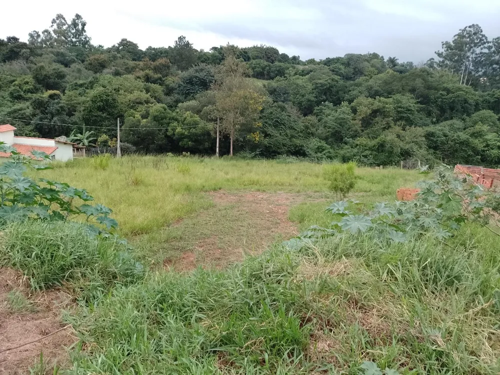 Terreno, 7000 m² - Foto 8