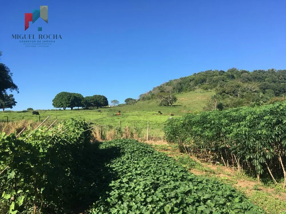 Fazenda - Foto 3