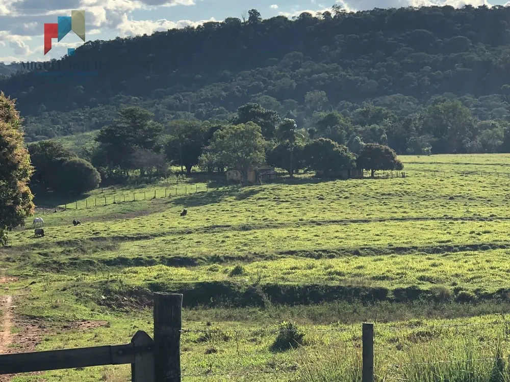 Fazenda - Foto 1
