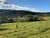 Fazenda-Sítio-Chácara - Foto 4