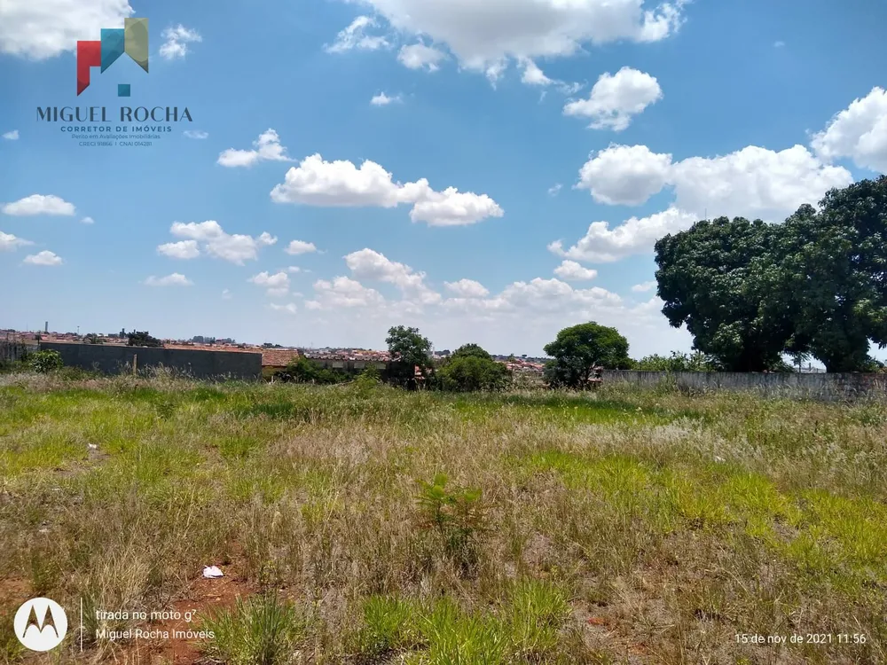 Terreno, 4390 m² - Foto 7