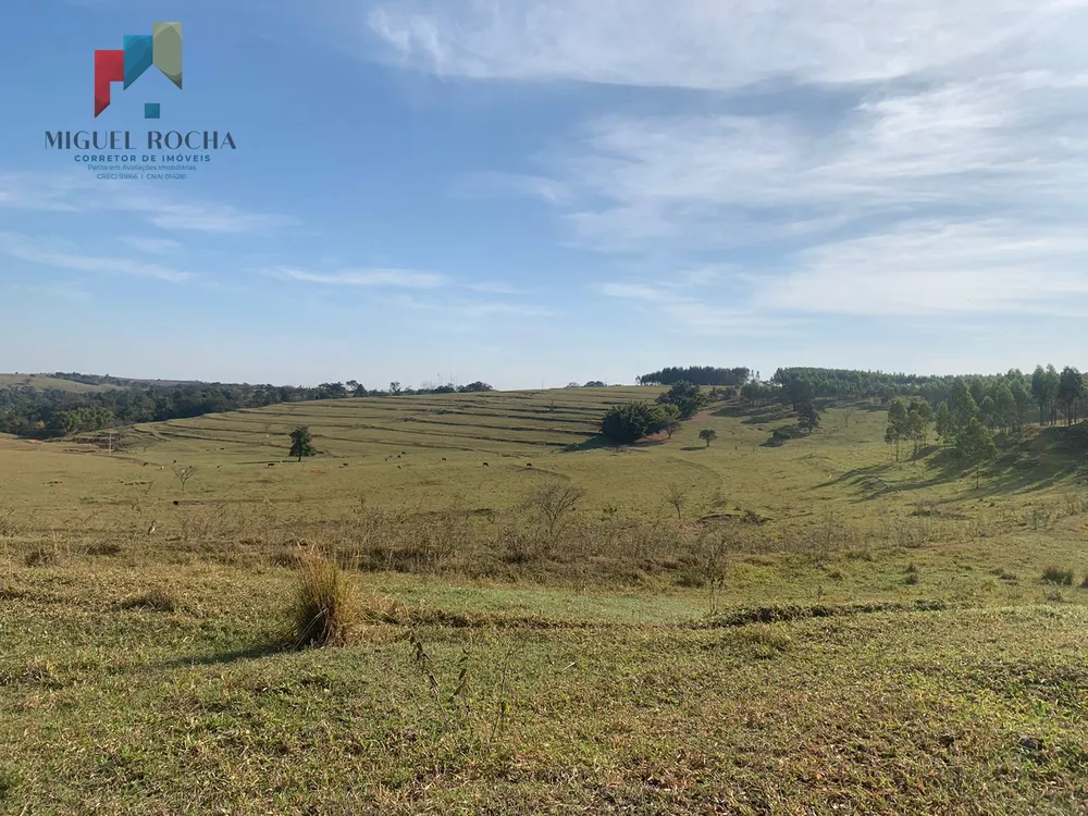 Fazenda, 605 hectares - Foto 15