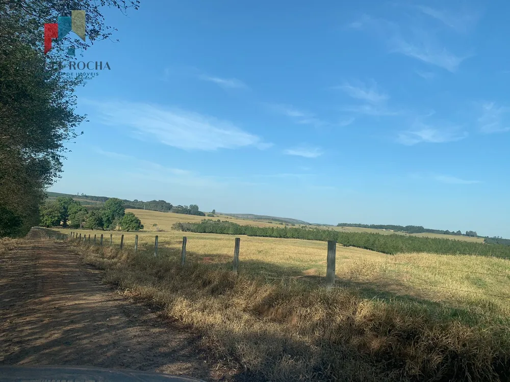 Fazenda, 605 hectares - Foto 16