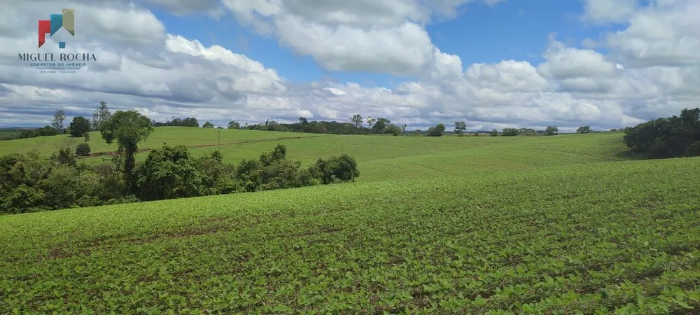 Sítio, 1 quarto, 60 hectares - Foto 3