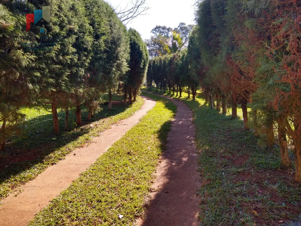 Chácara, 6 quartos, 5000 m² - Foto 19