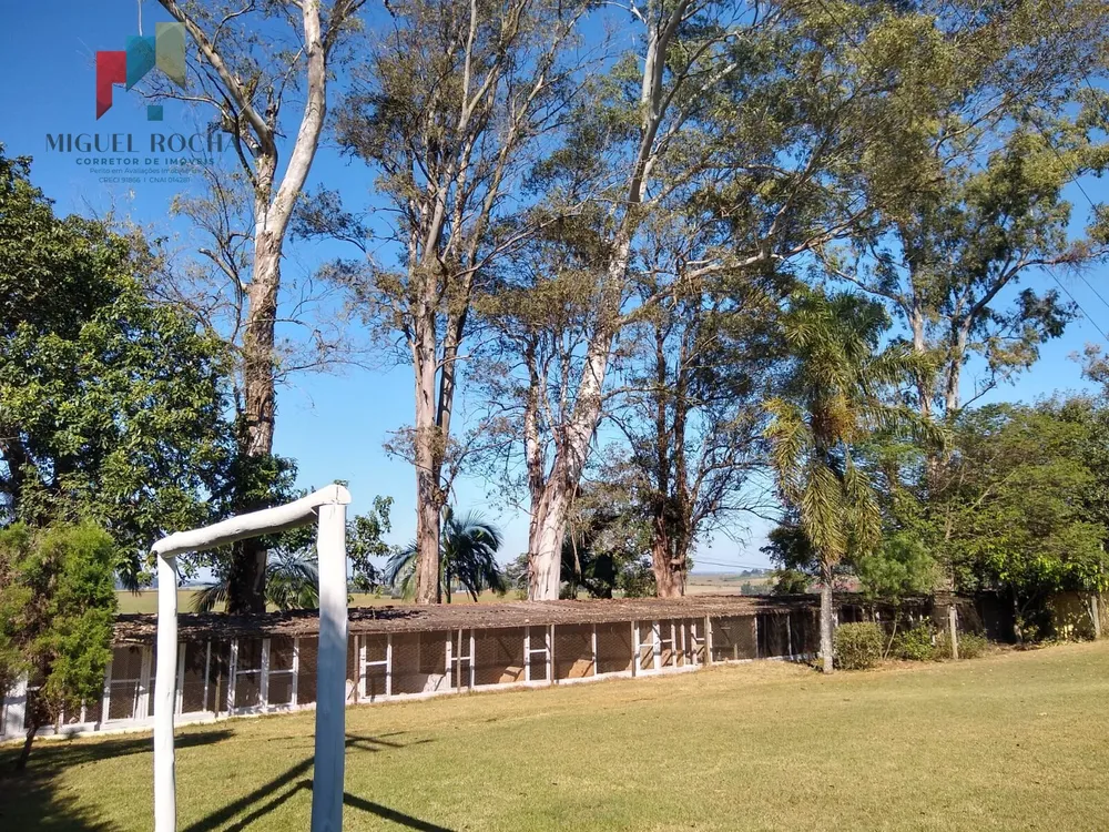Chácara, 6 quartos, 5000 m² - Foto 15