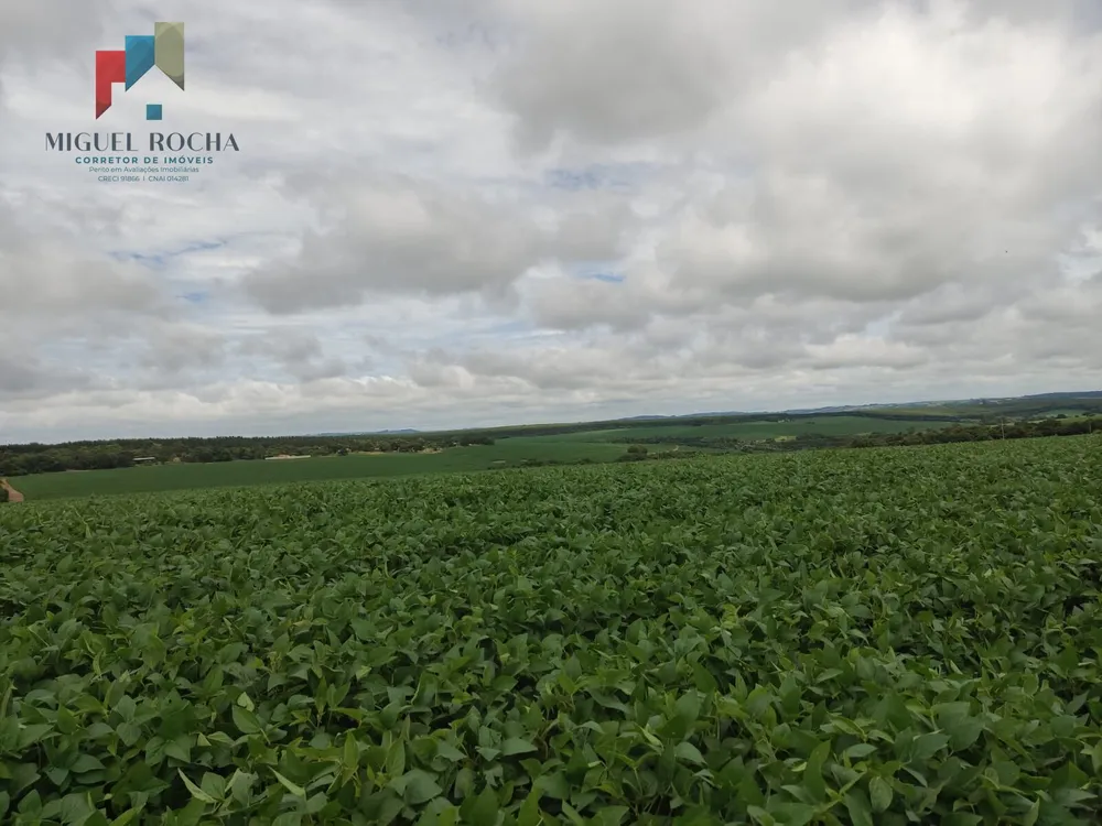 Fazenda, 351 hectares - Foto 1