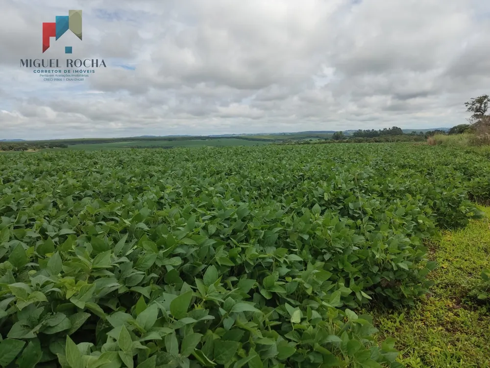 Fazenda, 351 hectares - Foto 2