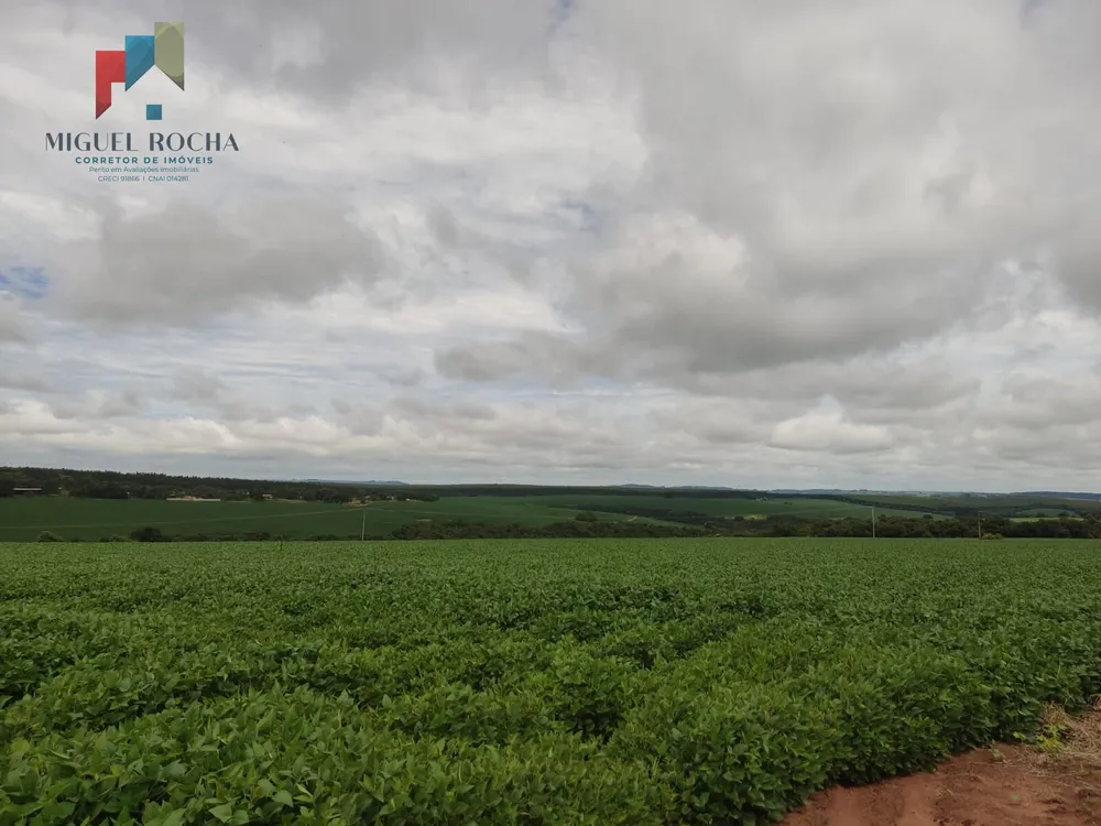 Fazenda, 351 hectares - Foto 3