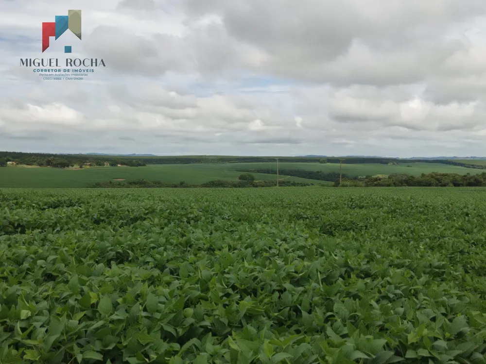 Fazenda, 351 hectares - Foto 4