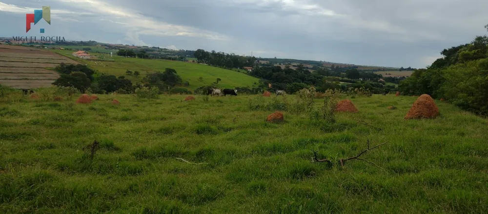 Sítio, 5 hectares - Foto 2