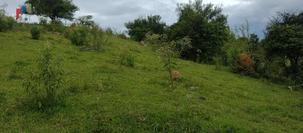 Sítio, 5 hectares - Foto 3