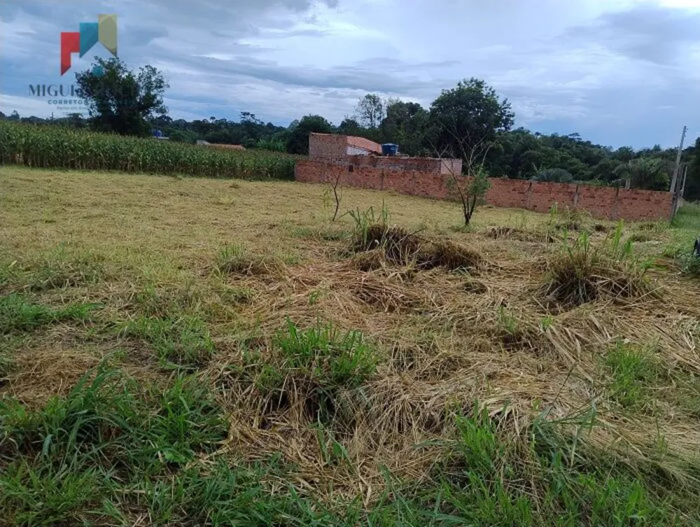 Terreno, 1000 m² - Foto 5