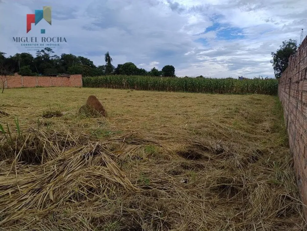 Terreno, 1000 m² - Foto 3