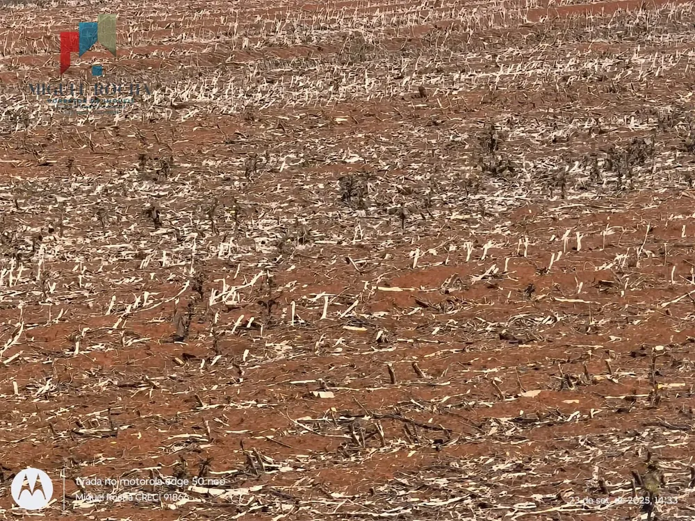 Fazenda, 2 quartos - Foto 3