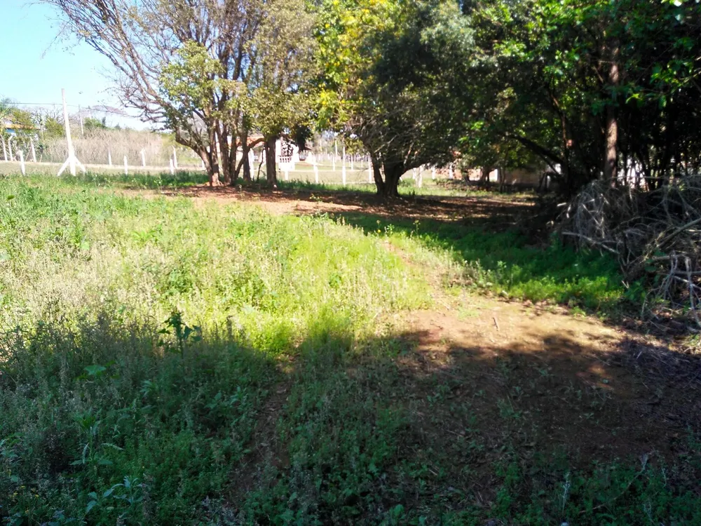 Chácara, 1 hectares - Foto 9