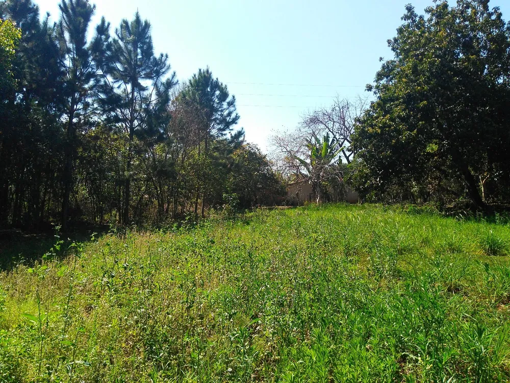 Chácara, 1 hectares - Foto 4
