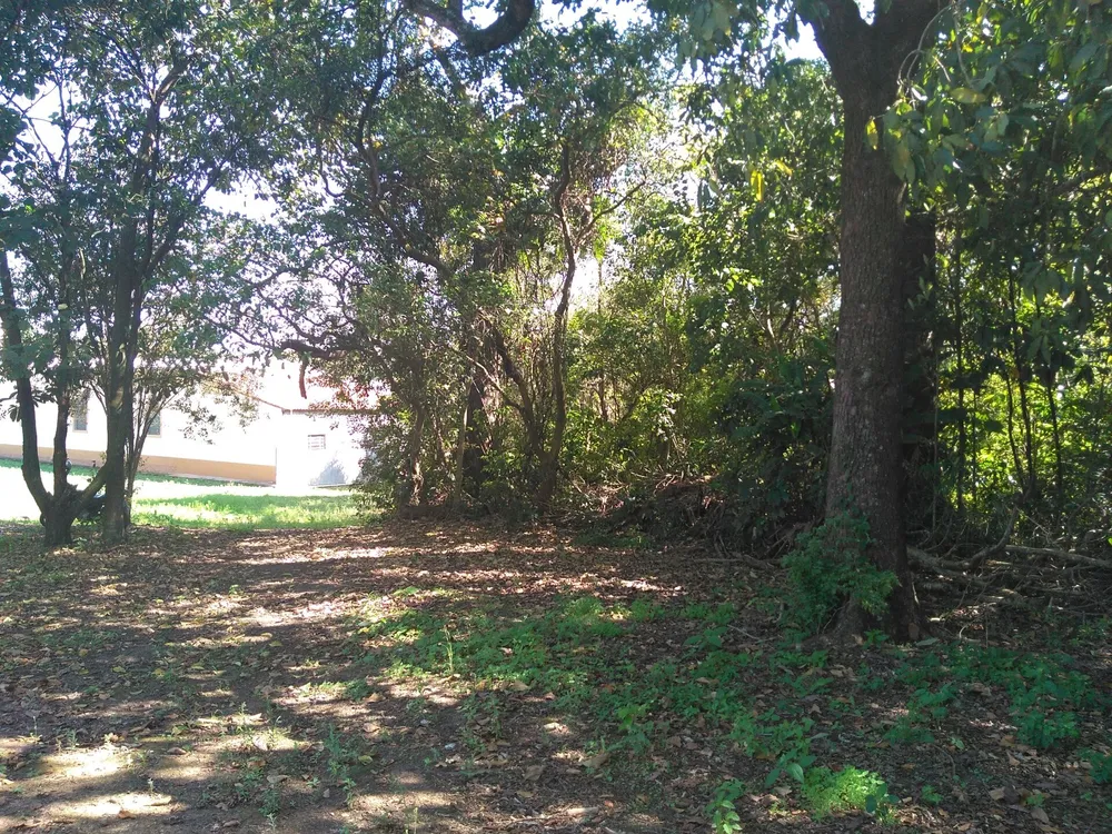Chácara, 1 hectares - Foto 3