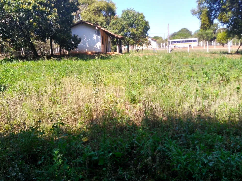 Chácara, 1 hectares - Foto 8