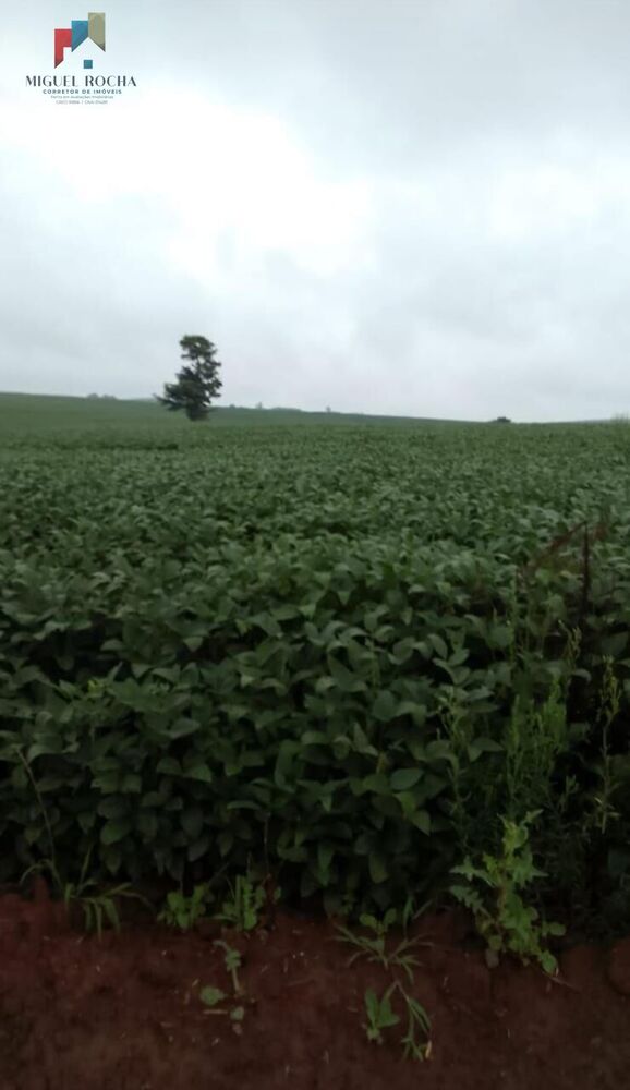 Fazenda à venda com 2 quartos, 1185800m² - Foto 3