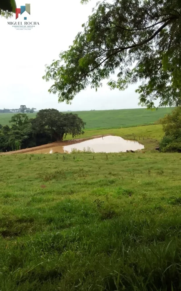 Fazenda, 119 hectares - Foto 4