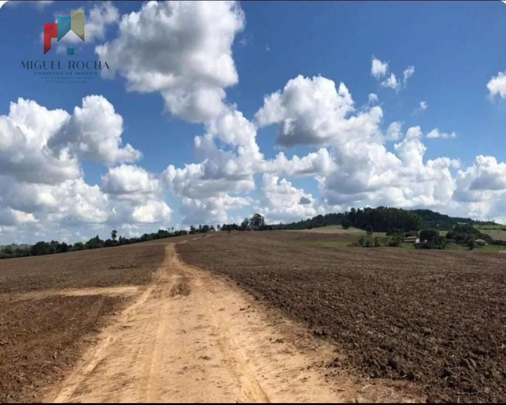Fazenda, 119 hectares - Foto 7