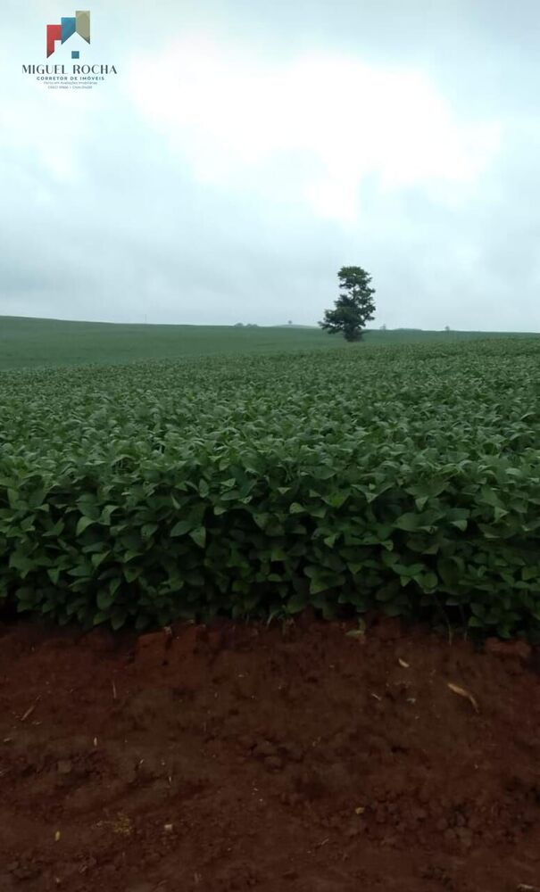 Fazenda à venda com 2 quartos, 1185800m² - Foto 2