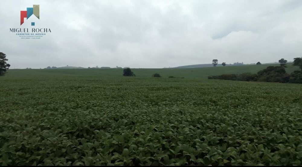 Fazenda à venda com 2 quartos, 1185800m² - Foto 4