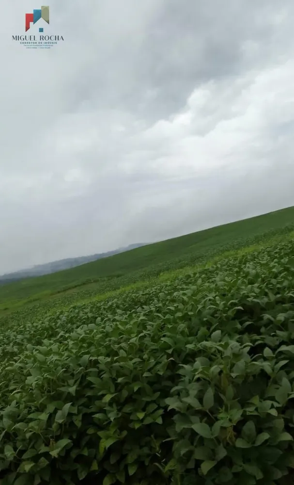 Fazenda, 119 hectares - Foto 8