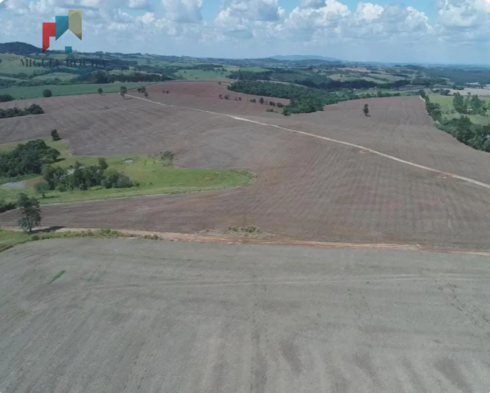 Fazenda, 119 hectares - Foto 10