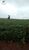Fazenda-Sítio-Chácara, 119 hectares - Foto 3