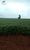 Fazenda-Sítio-Chácara, 119 hectares - Foto 2