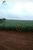 Fazenda-Sítio-Chácara, 119 hectares - Foto 1